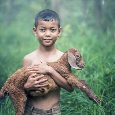 Menelisik Desa di Dalam Hutan Lindung