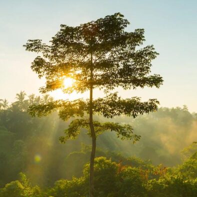 Menimati Matahari Terbenam dari atas Gunung Tertinggi di Indonesia