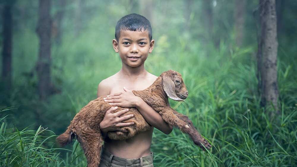 Menelisik Desa di Dalam Hutan Lindung