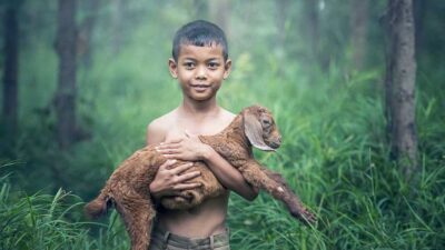 Menelisik Desa di Dalam Hutan Lindung