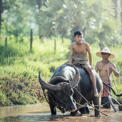 Gallery Wisata Indonesia Memanjakan Mata Kamu Gallery Wisata Indonesia Memanjakan Mata Kamu